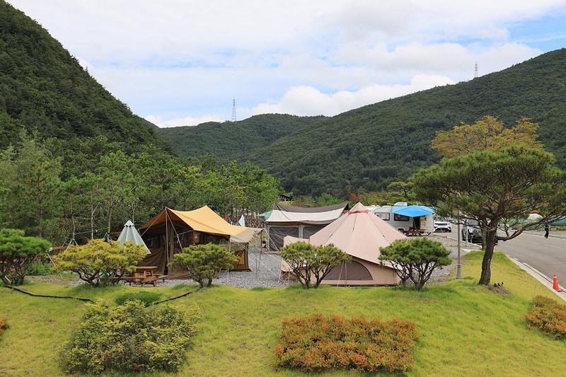 태백 눈꽃 야영장 시설 사진 9