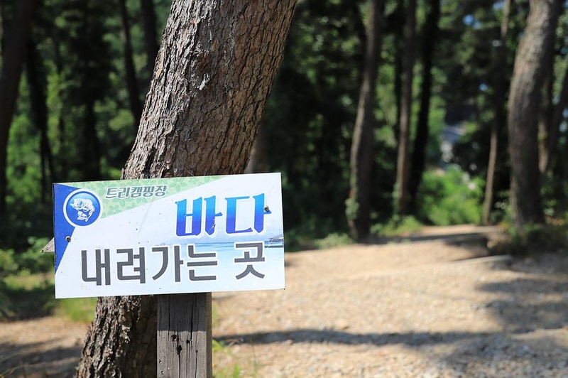 트리캠핑장 시설 사진 8