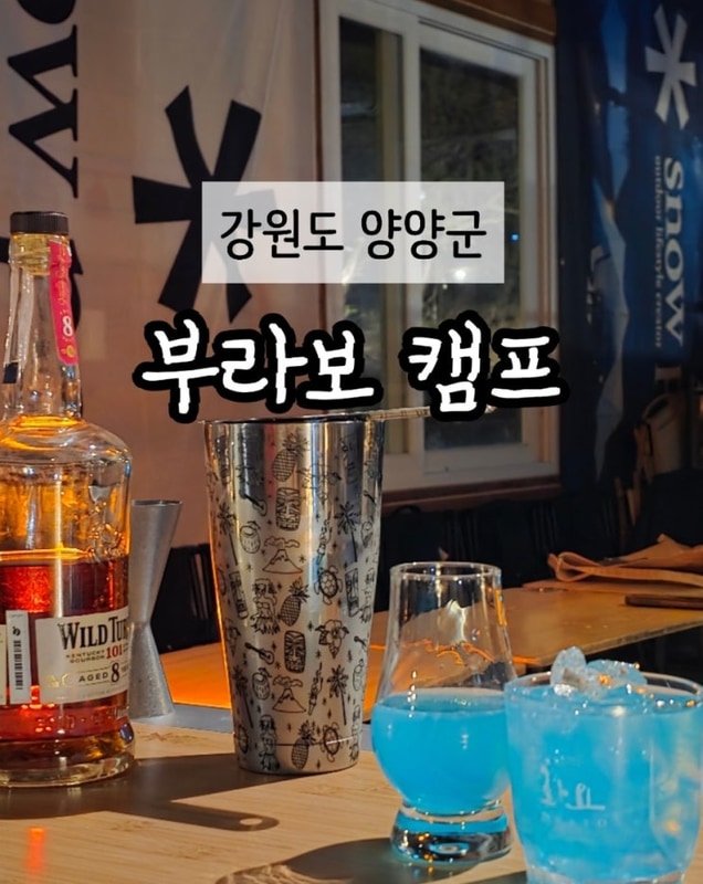 DORANI ) 부라보캠프, 캠퍼의... 벚꽃캠핑까지, 양양 핫한...