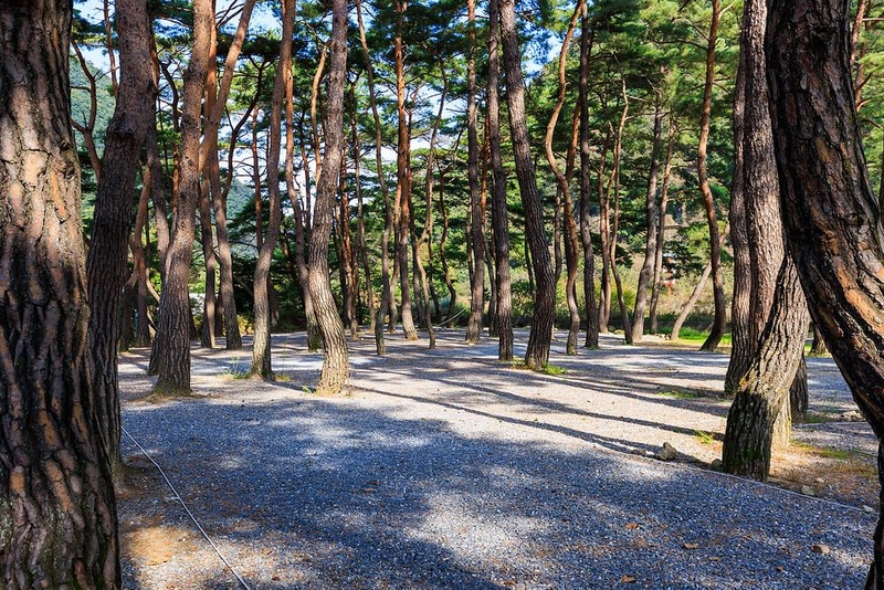 월악산억수솔밭캠핑장 시설 사진 3