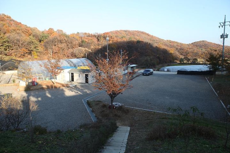 지내울 야영장 대표 사진