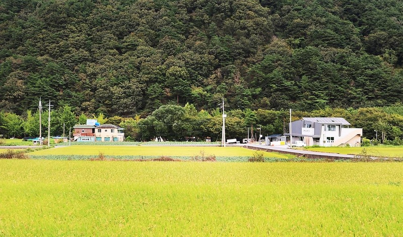 용소유원지 야영장 시설 사진 2