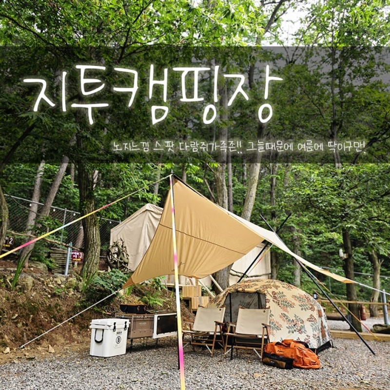 서울근교 캠핑장 안에 노지느낌 스팟 지투캠핑장 다람쥐가족존