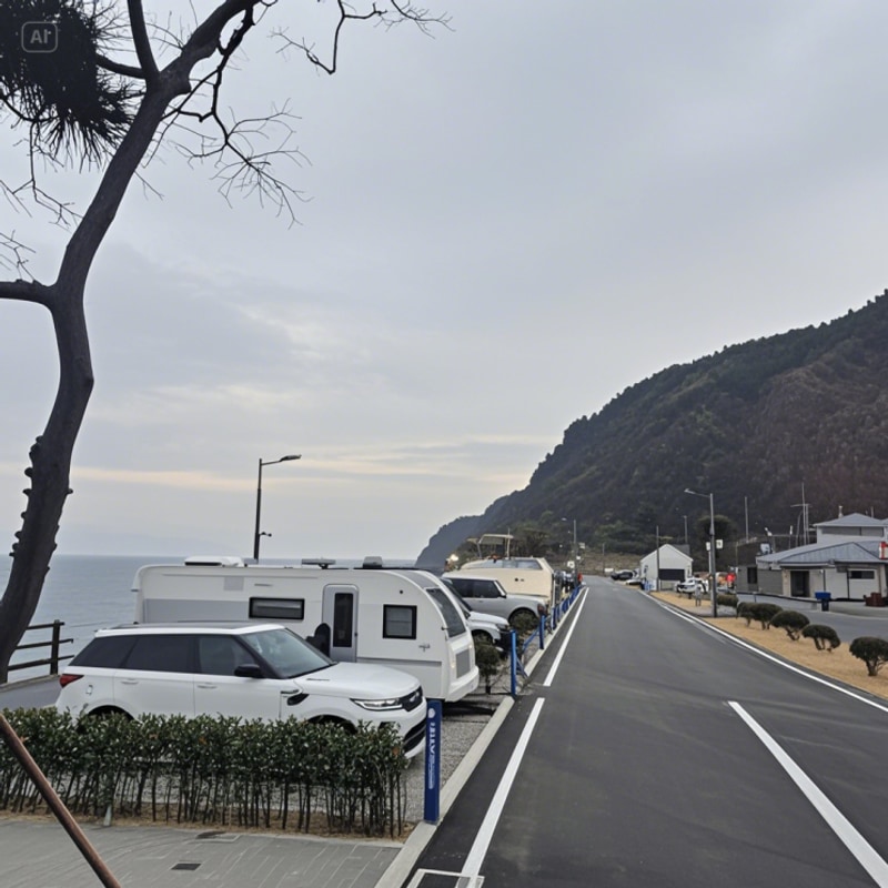 강릉 통일공원의 변신! '바다내음 캠핑장' 오션뷰 캠핑 명소로...