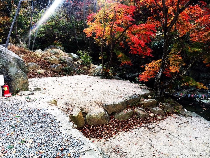 진틀펜션캠핑장 시설 사진 21