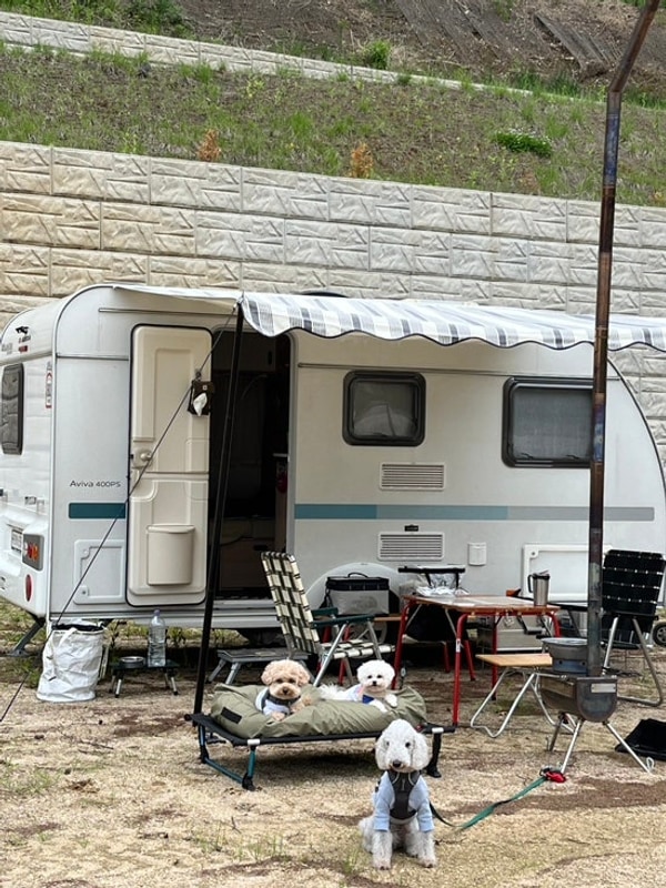 포천 포레스트사운드 캠핑장 / 서울근교 신생 캠핑장 / 깔끔한...