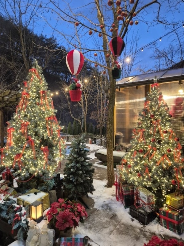 241227 홍천 하늘바라기 글램핑