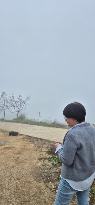 대구 근교 스테이 700 캠핑 야영장 숨결 같은 힐링공간...