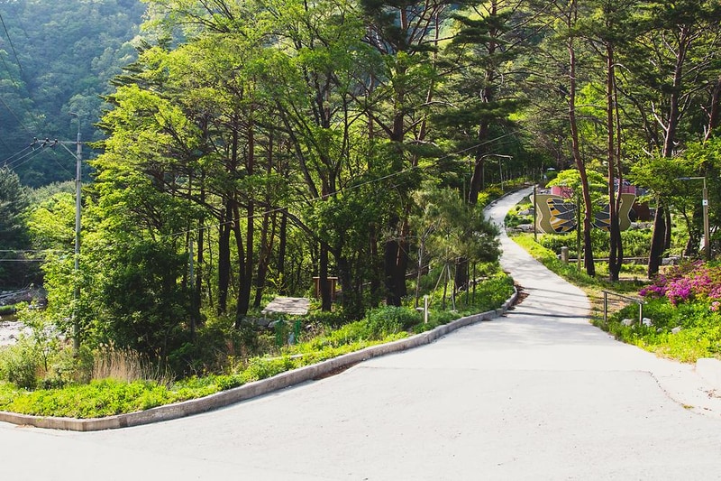 진동리 국민여가캠핑장 by zapza 시설 사진 8