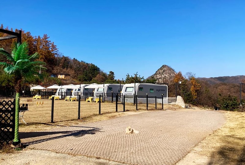 캐닌힐스(CANINHILLS) 시설 사진 4