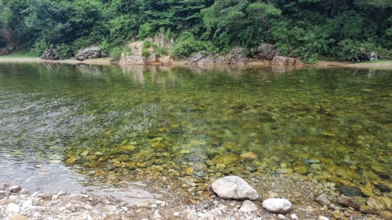 홍천 계곡 펜션 칡소폭포 캠핑장 아이들과 급 방문 후기(또...