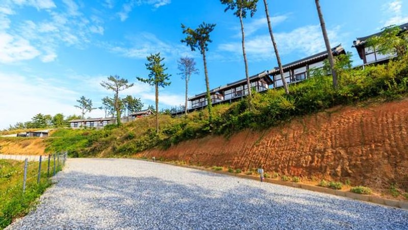 전남 캠핑장 추천 총정리, 바다부터 노지까지! 애견 동반, 차박...