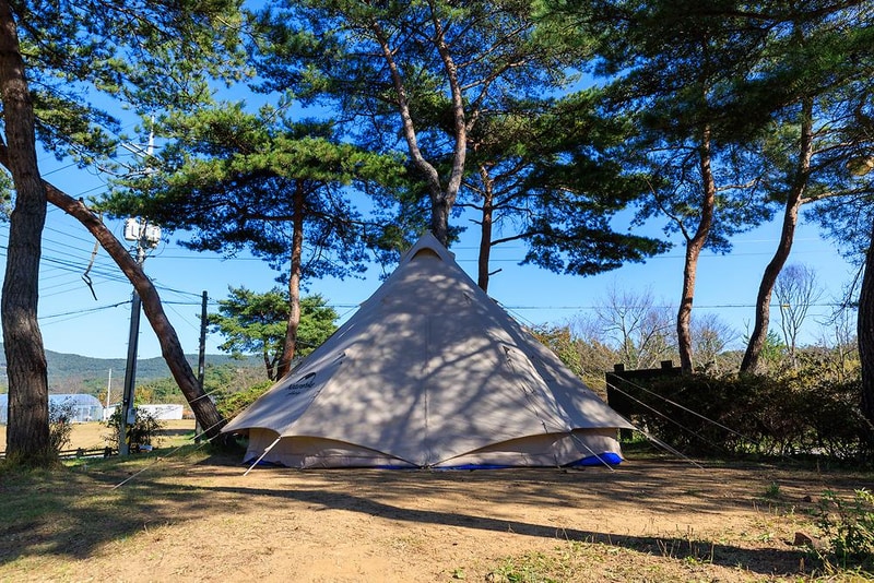 세울터 오토캠핑장 & 펜션 시설 사진 19