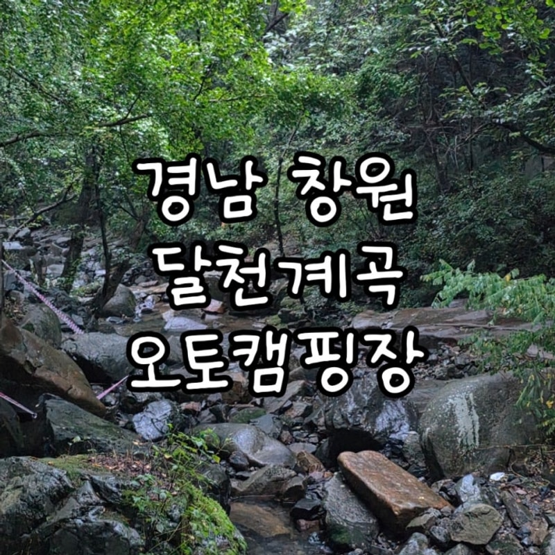 경남 창원 달천공원 오토캠핑장