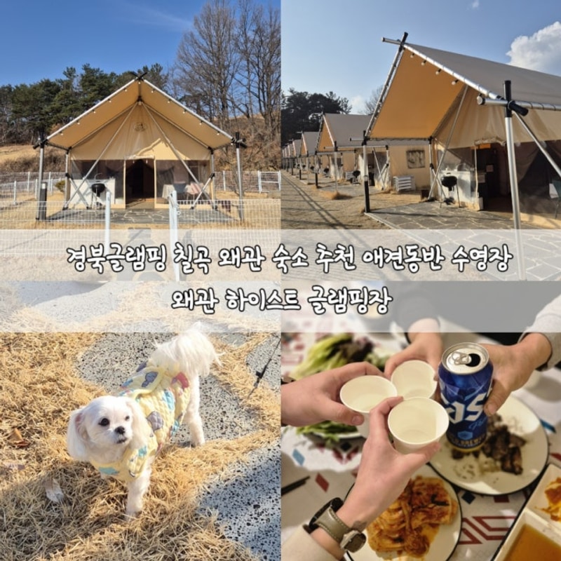칠곡 왜관 숙소 추천 애견동반 수영장 하이스트 글램핑장 4인...