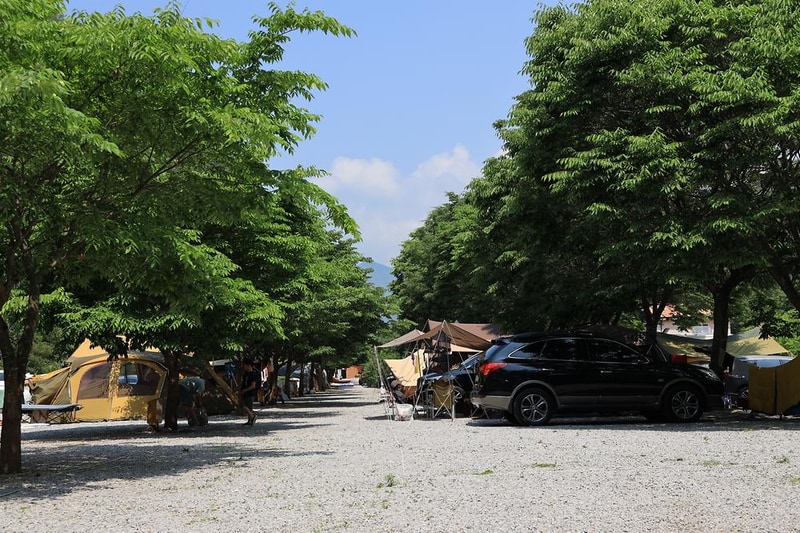 내리계곡 솔바람 캠핑장 시설 사진 15