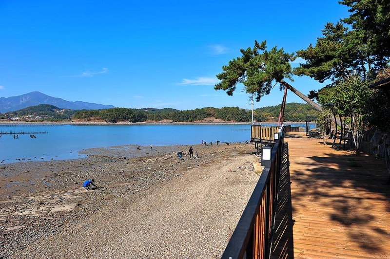 사천비토솔섬오토캠핑장 시설 사진 10