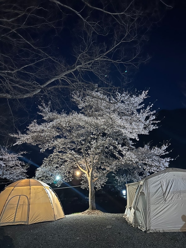 2024. 4. 5. - 2024. 4. 7. 밀양 밸리캠핑장