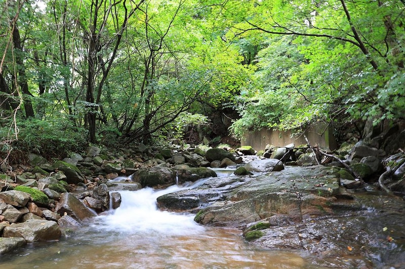 마루지 캠프 시설 사진 7