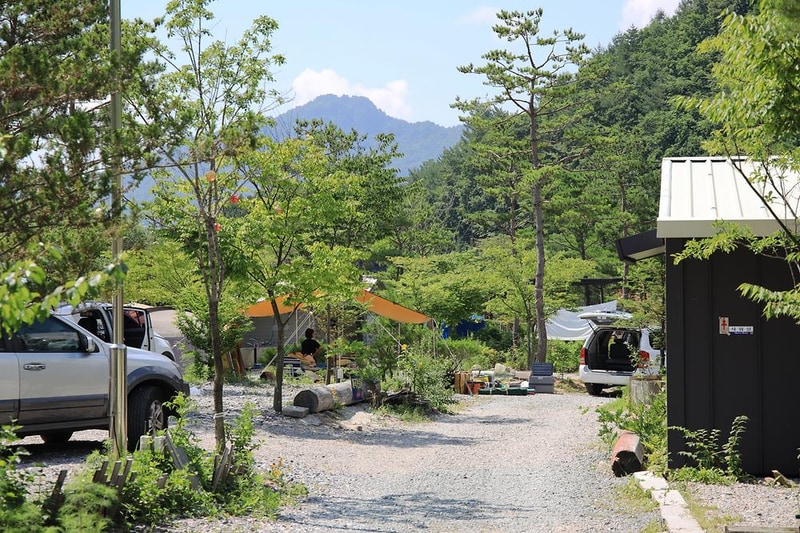 평창 보물섬캠핑장 시설 사진 15