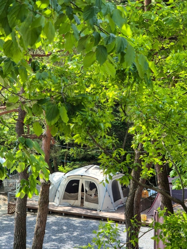 25.06.06~08 신림스테이캠프 데크2번 2박 :: 58번째 캠핑일기