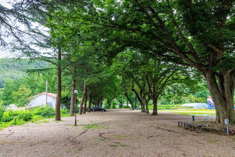 에코팜 부설 오토캠핑장 시설 사진 12