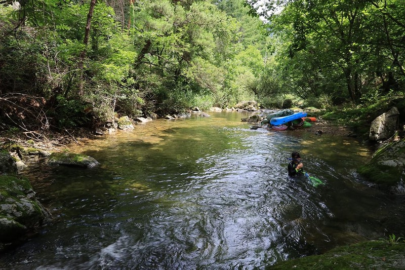 숲속의 작은집 시설 사진 10