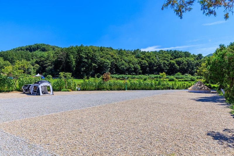 솔부엉이 캠핑장 시설 사진 1