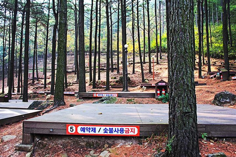 제암산자연휴양림 야영장 대표 사진