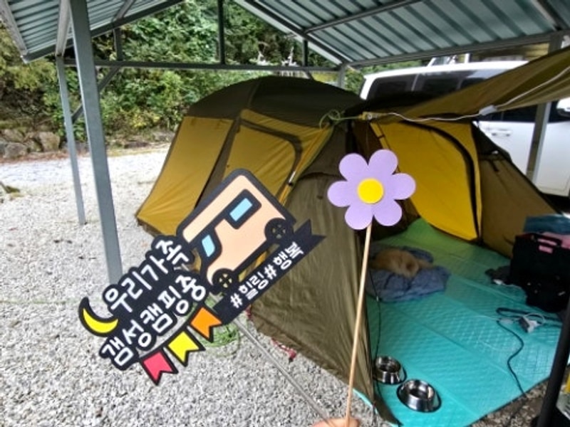 쉼이 있는 가을 캠핑 애견 동반 가능 제천 달재 오토캠핑장 계곡...