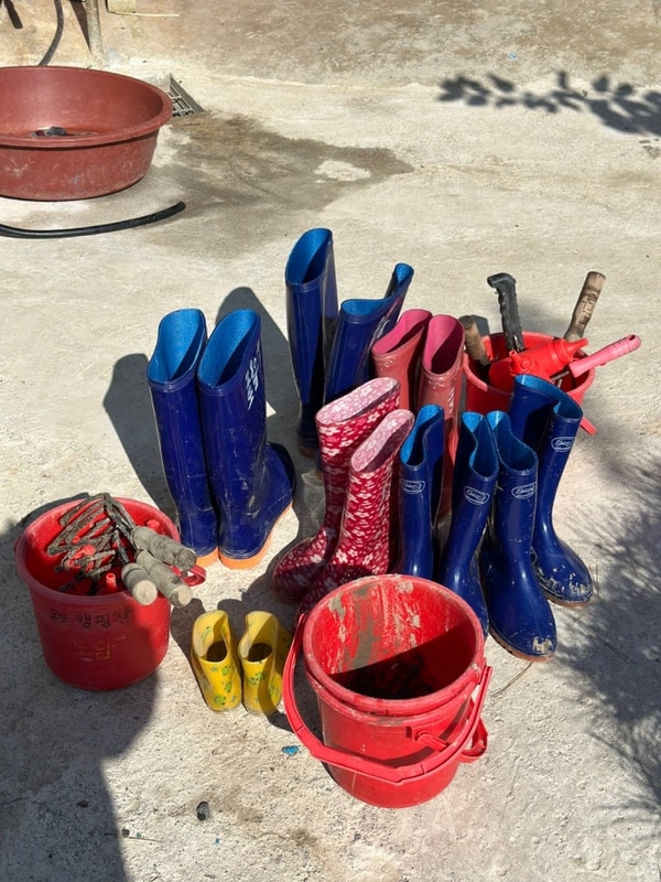 충남 태안 도담 오토캠핑장 (키즈 캠핑장 글램핑 갯벌체험 수영장)