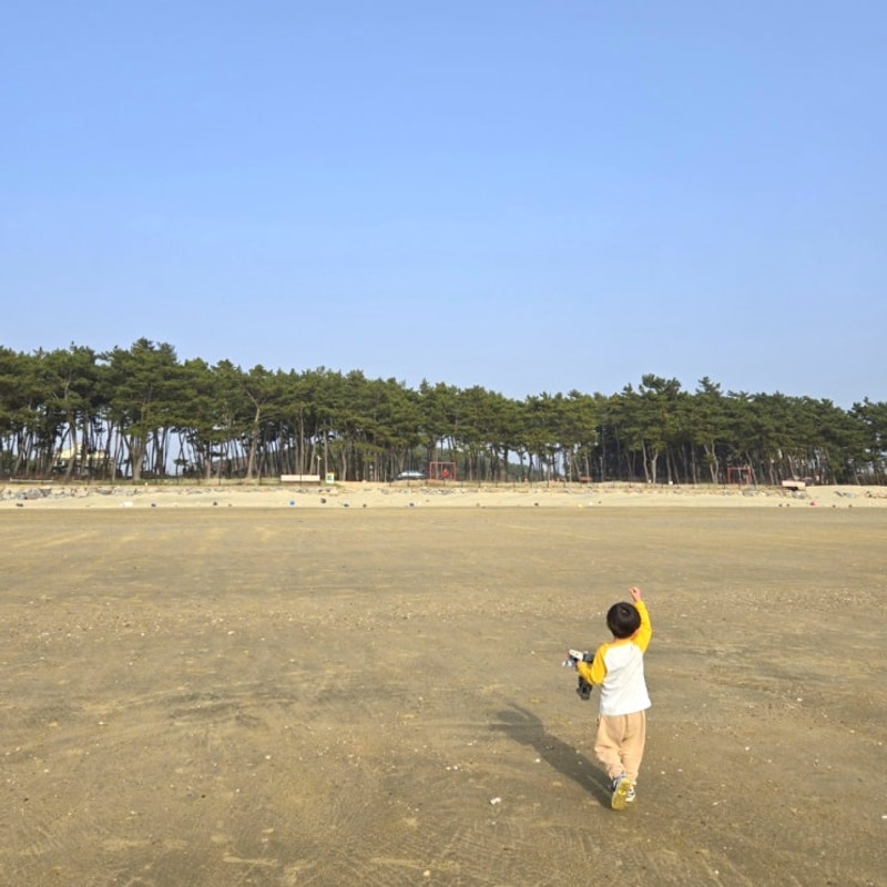 서해 태안카라반 마검포 해수욕장 위치한 안면도 숙소