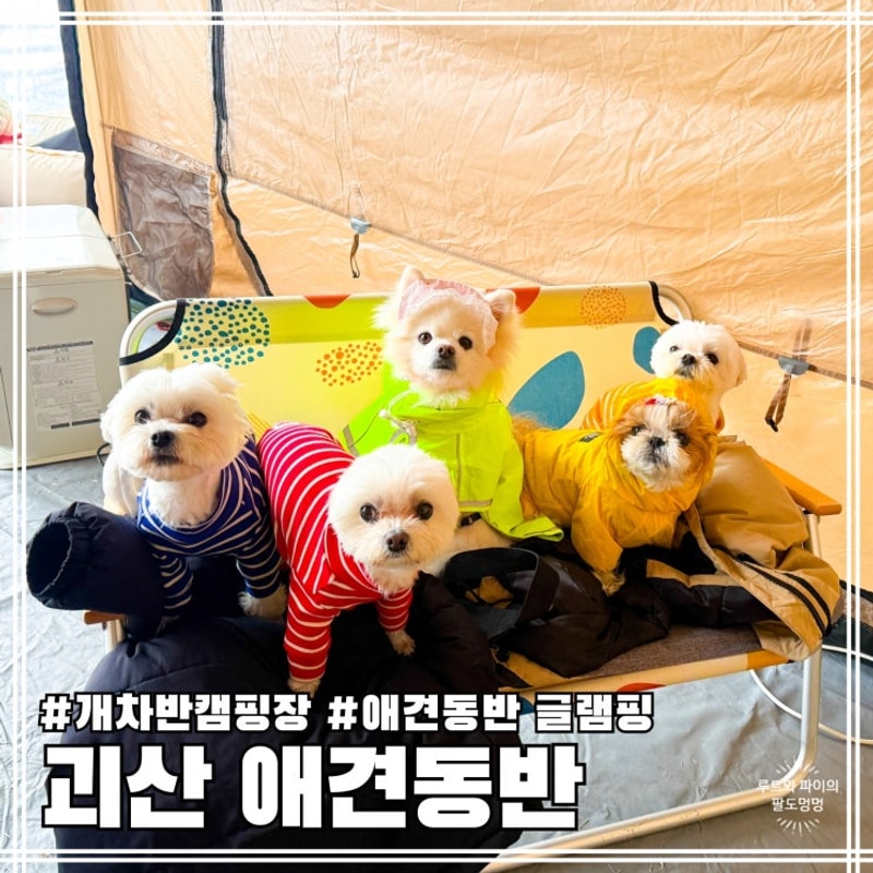 충북 괴산 애견동반 개차반 캠핑장 개별 울타리
