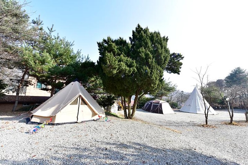 봉봉자연 관광농원 대표 사진