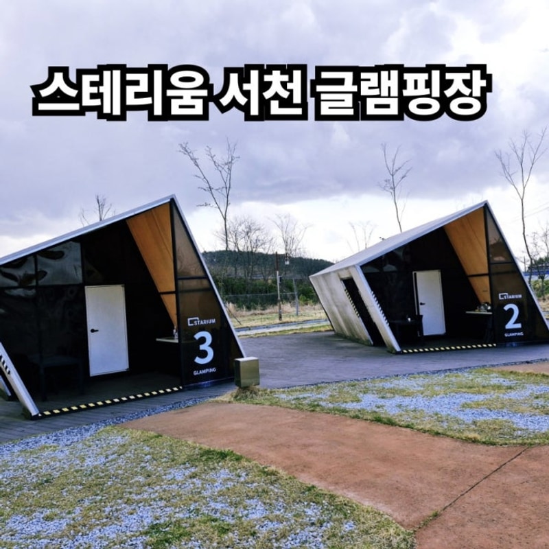 스테리움 서천 글램핑장 국립생태원 에코리움 숙소 추천