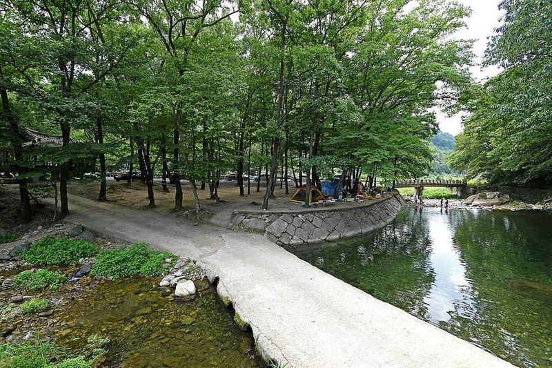 계림정야영장 시설 사진 4