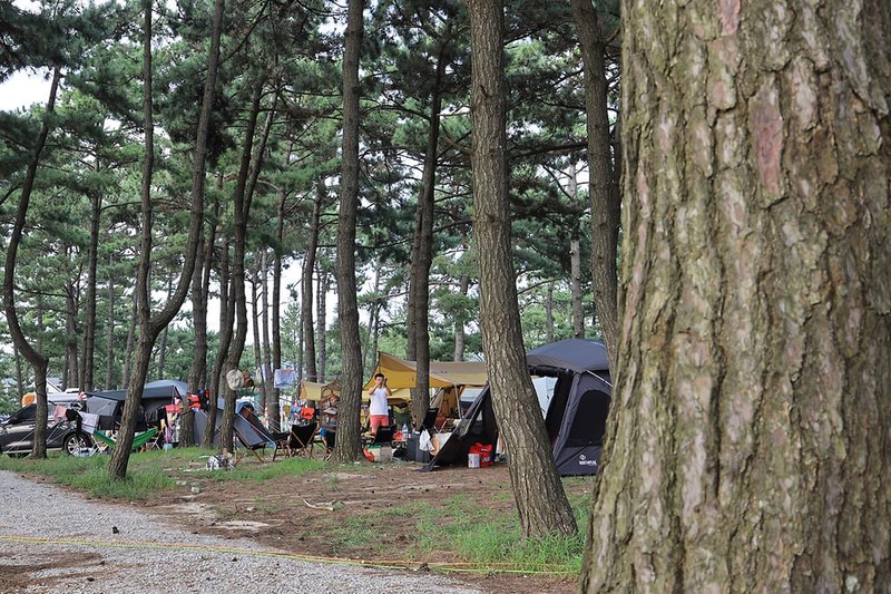 구시포 노을 캠핑장 시설 사진 17