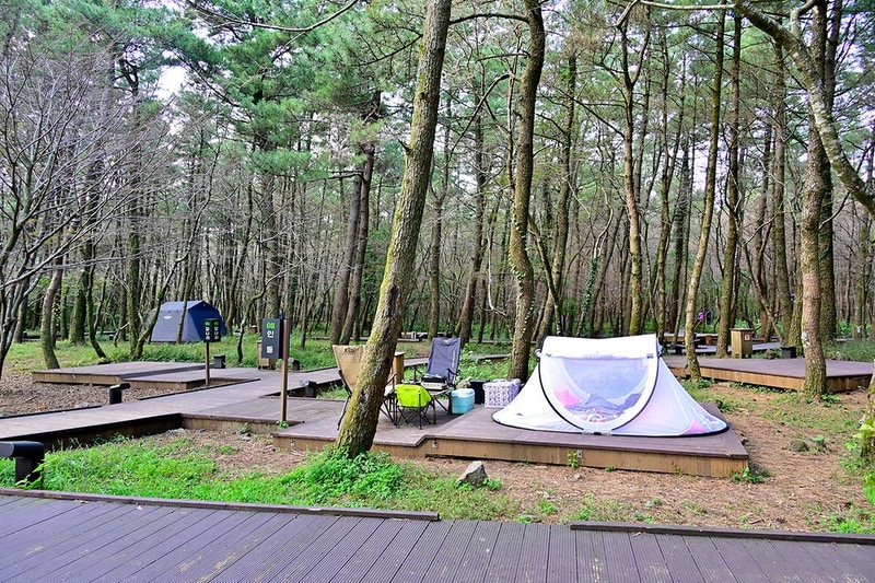 붉은오름 자연휴양림 숲속 야영장 시설 사진 6