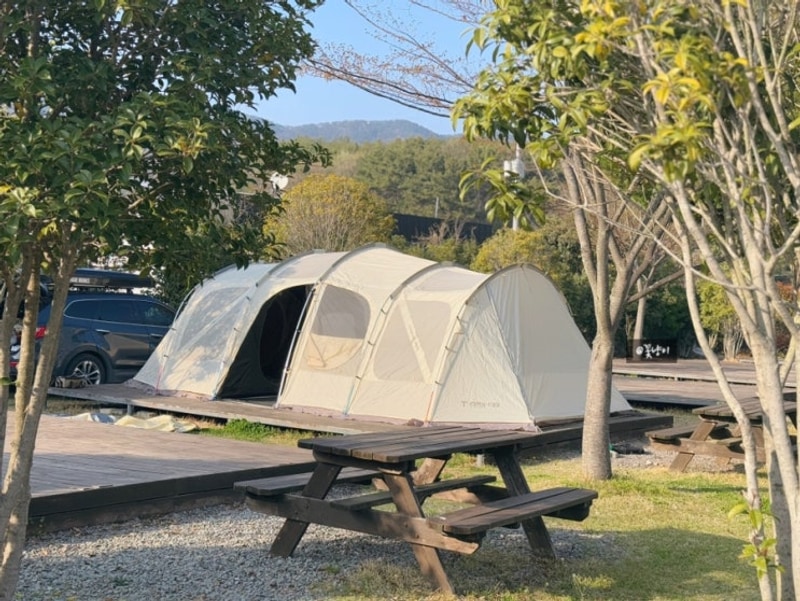 경남 키즈캠핑 고성 잔디캠핑장 아이랑 벚꽃캠핑