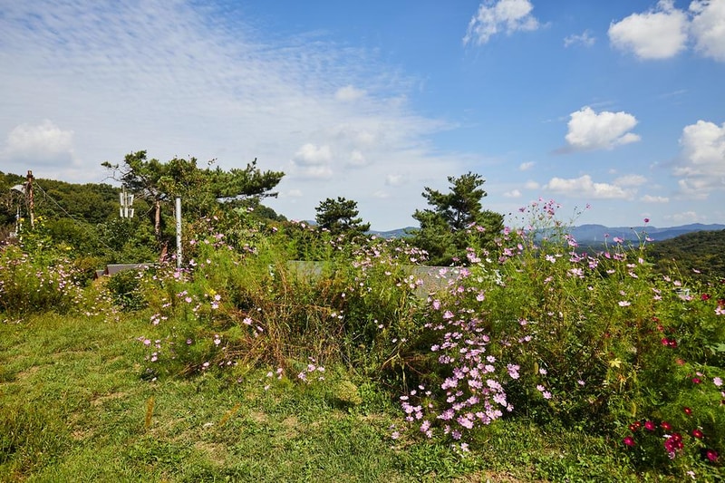 참살이 가족 캠핑장 시설 사진 13