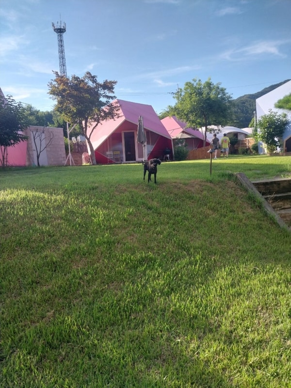 홍천여행~력셔리 바누글램핑