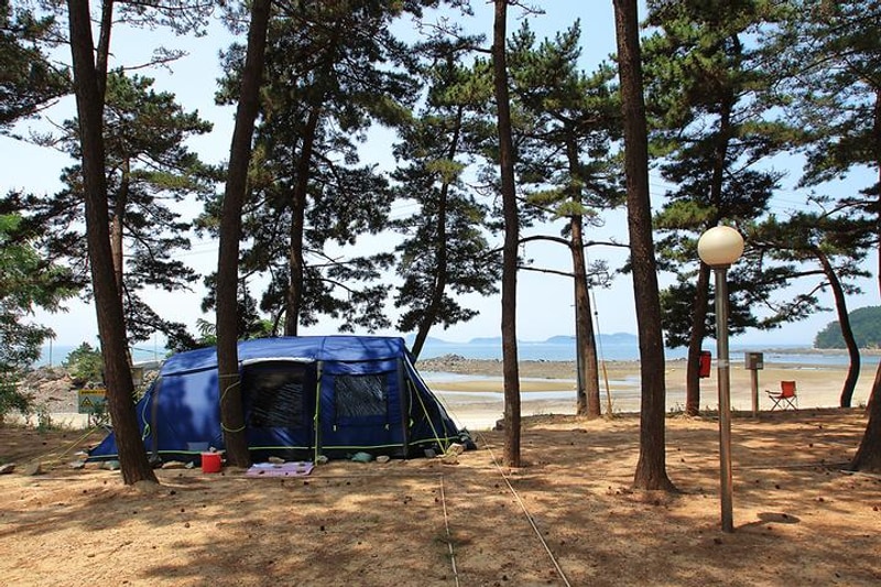 곰섬야영장 대표 사진