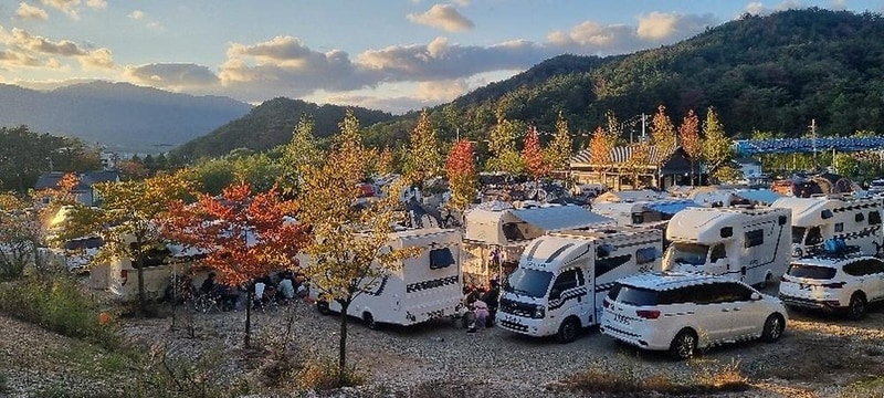 포항 서숲 오토캠핑장 시설 사진 11