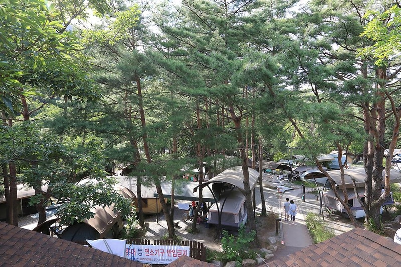 월악산국립공원 닷돈재자동차야영장 시설 사진 17