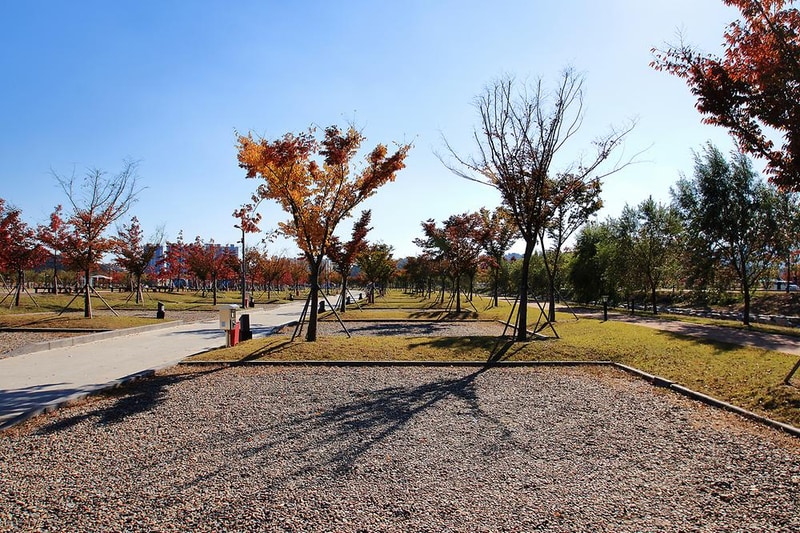 구미캠핑장 시설 사진 1