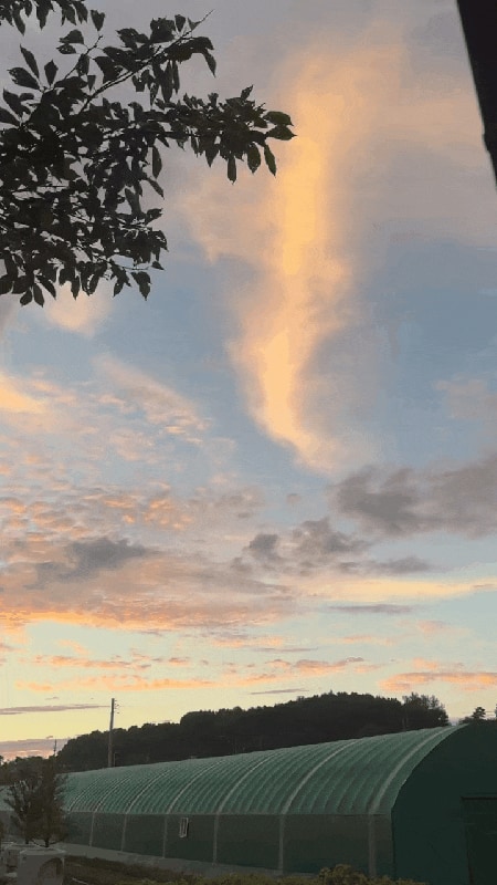 연천 글램핑 라구나캠프 럭셔리카라반 개별불멍·개별수영장...