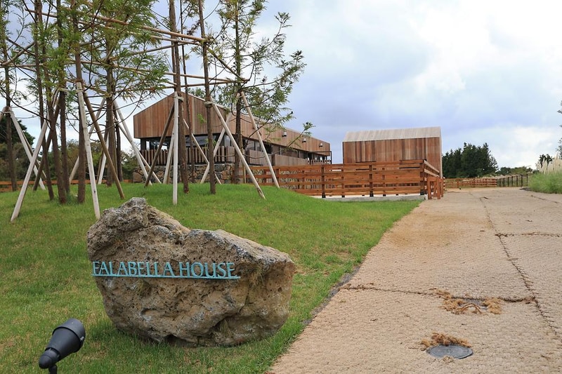 스타빌 시설 사진 8