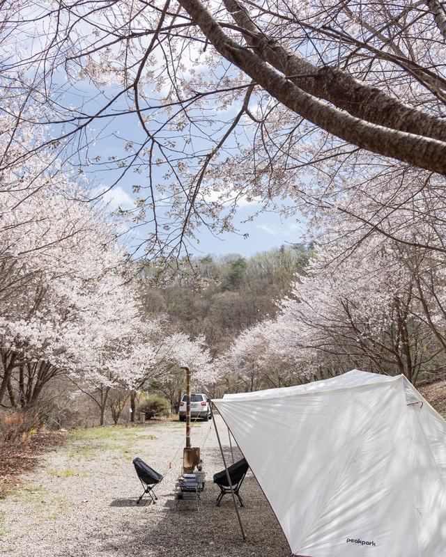 서울근교 캠핑장 추천 숲이 좋은 홍천 산으로 캠핑장