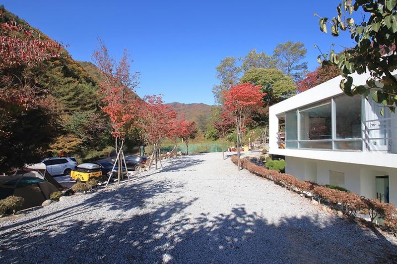 묘솔 대표 사진