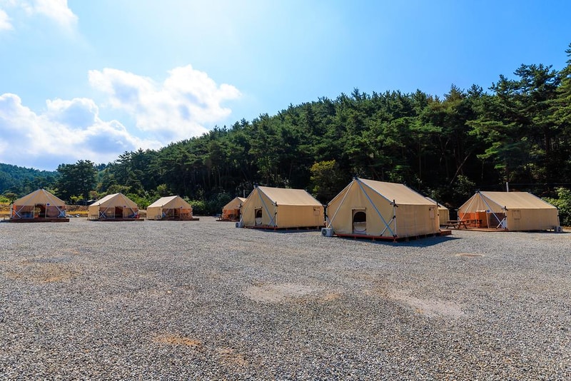 올레유 시설 사진 12